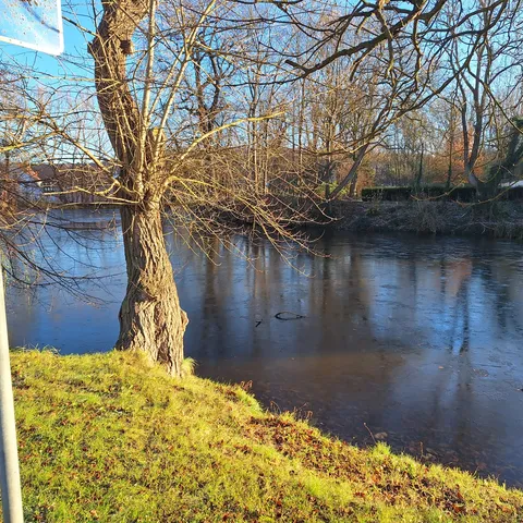 Ein zugefrorener Fluss mit kahlen Bäumen am Ufer an einem sonnigen Wintertag, im Vordergrund ein Schild.
