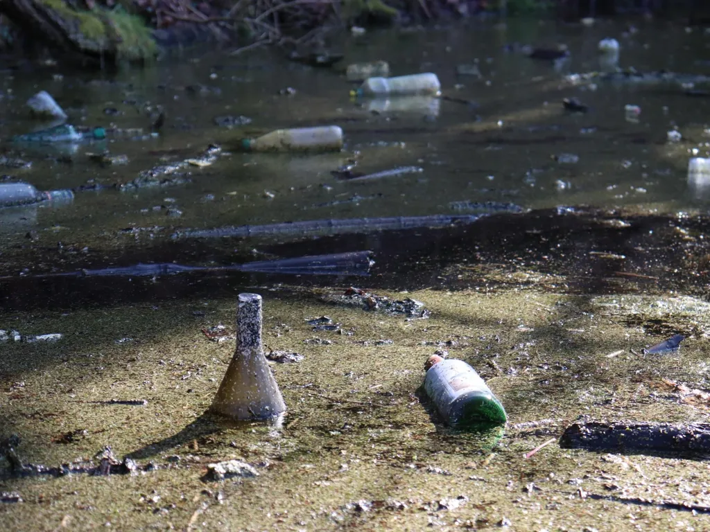 Verschmutztes Gewässer mit mehreren Glas- und Plastikflaschen sowie weiterem Müll, der auf dem Wasser schwimmt.