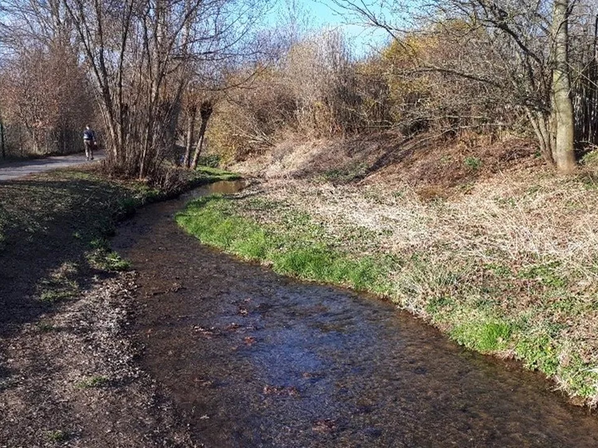 Ein schmaler Bach fließt neben einem Weg, umgeben von Bäumen und trockenem Gras im Sonnenschein.