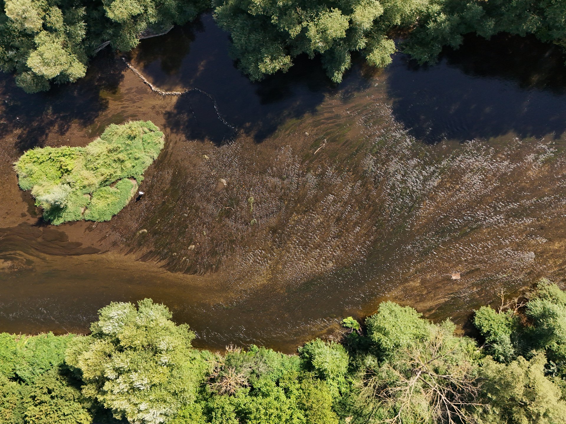 Luftaufnahme der Saale in Jena mit flachem Flussbett, grünen Ufern und einer kleinen bewachsenen Insel.
