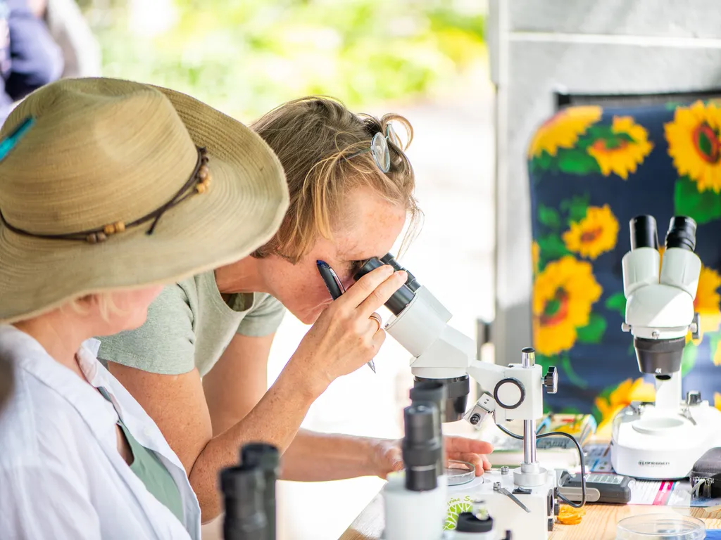 Zwei Frauen betrachten durch Mikroskope an einem Tisch im Freien.