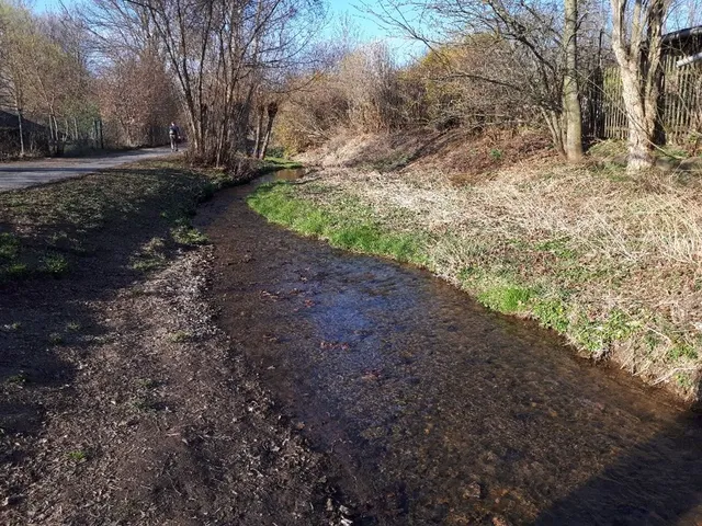 Kleiner Bach fließt entlang eines Weges durch eine naturbelassene Landschaft mit kahlen Bäumen.