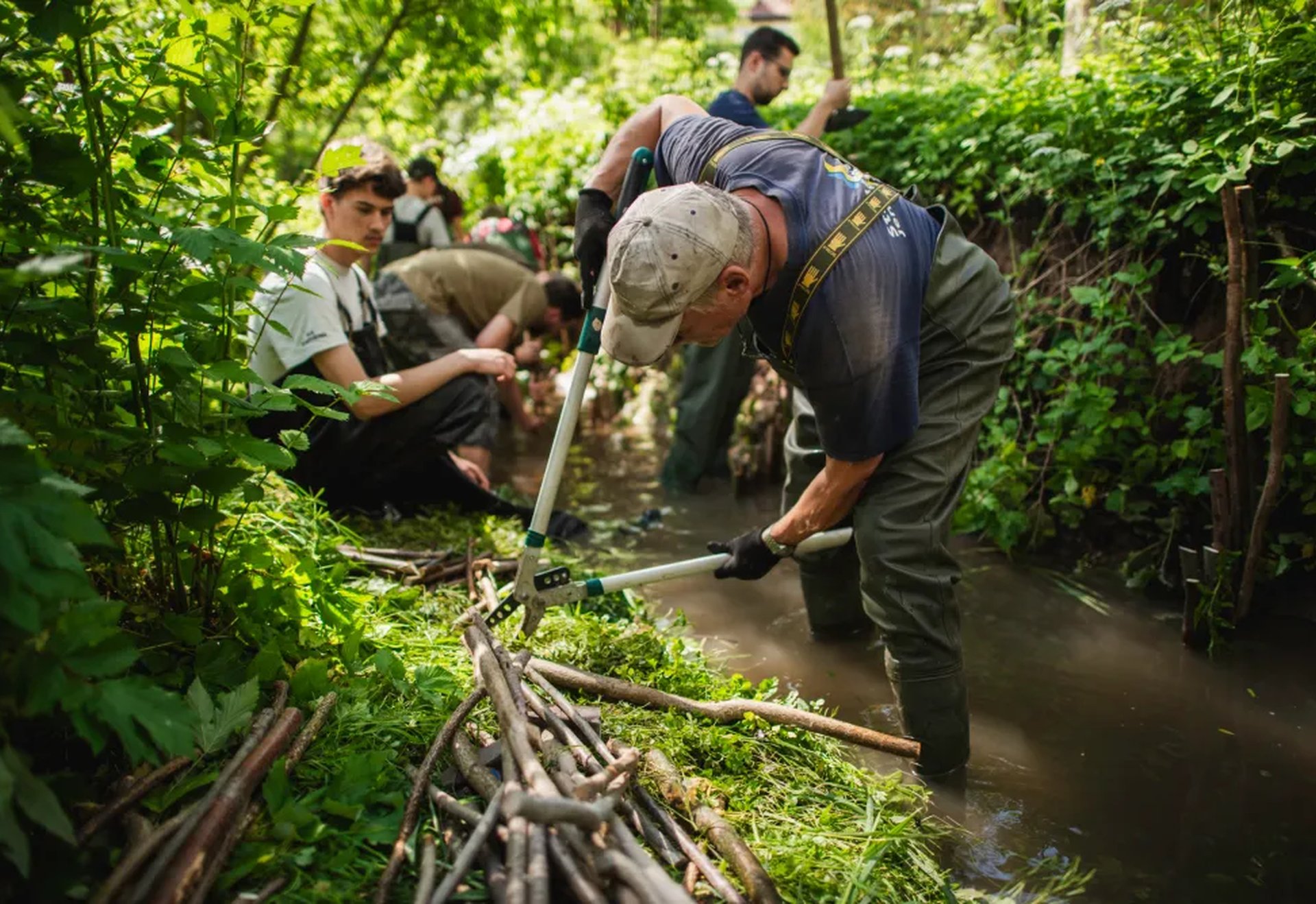 Mehrere Personen arbeiten in einem Bach im Wald und errichten mit Ästen und Werkzeugen eine natürliche Barriere im Wasser.