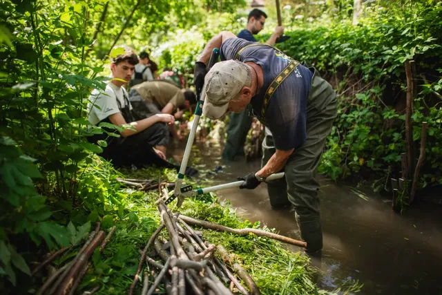 Mehrere Personen arbeiten in einem Bach im Wald und errichten mit Ästen und Werkzeugen eine natürliche Barriere im Wasser.