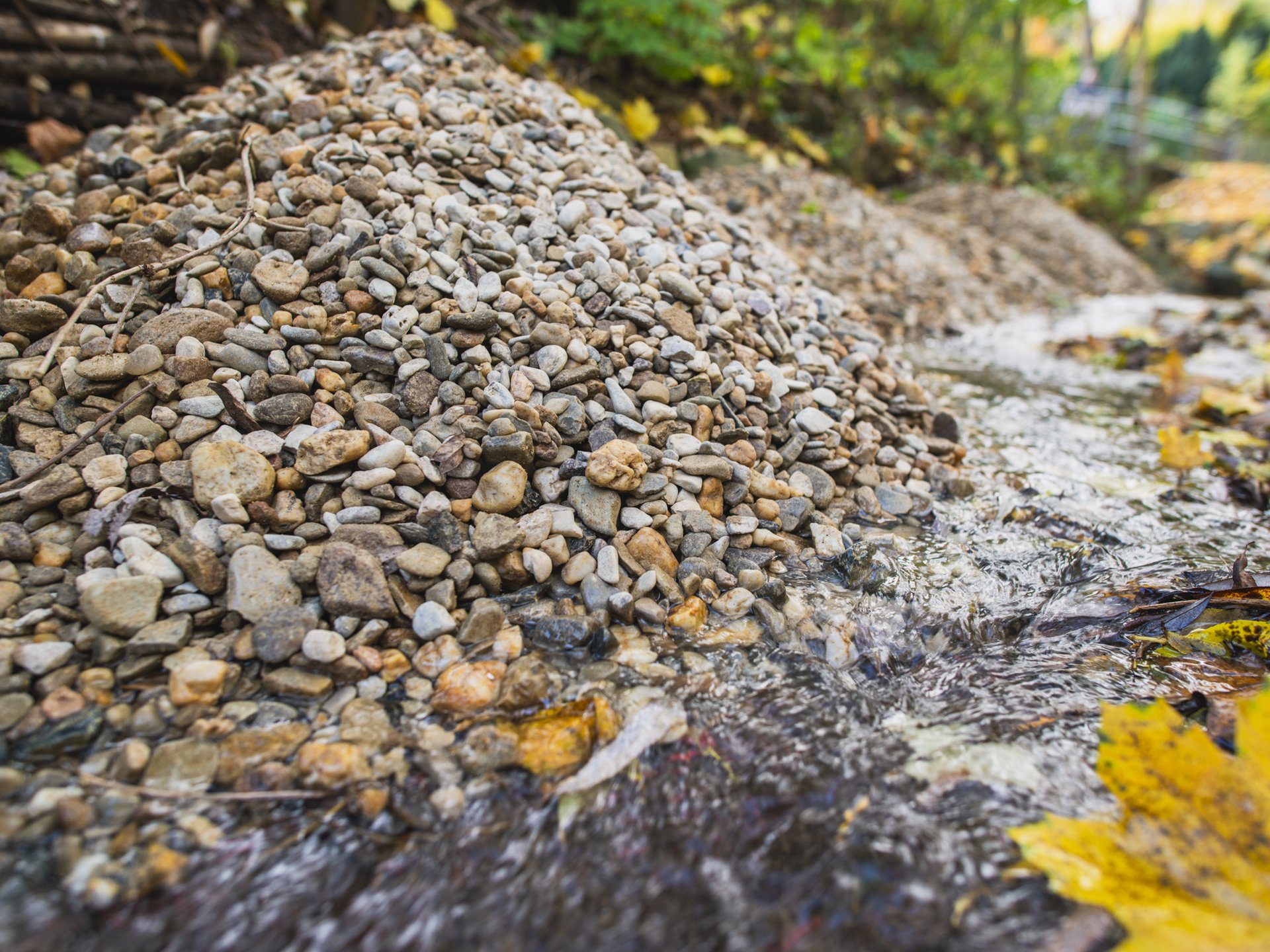 Nahaufnahme eines Kieshaufens am Rand eines kleinen Fließgewässers. Das Wasser strömt daran vorbei, während Herbstlaub im Bach liegt.