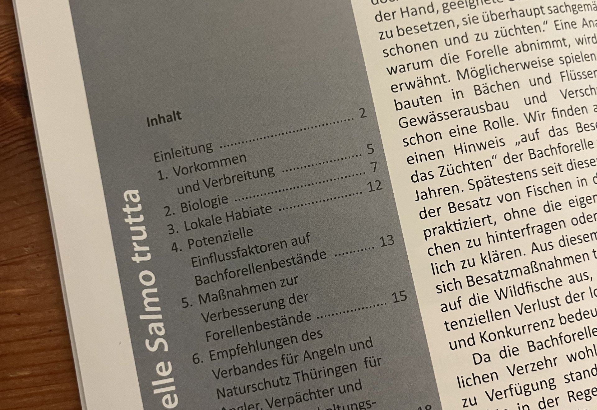 Inhaltsverzeichnis einer Broschüre zur Bachforelle.