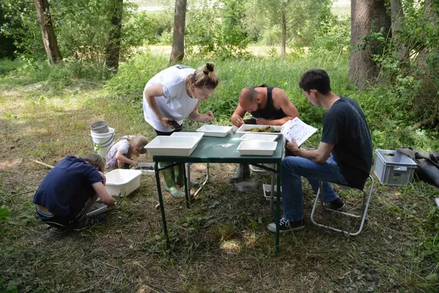 Vier Personen arbeiten draußen an einem Tisch mit Schalen und Papier, vermutlich bei einer naturwissenschaftlichen Untersuchung im Grünen.