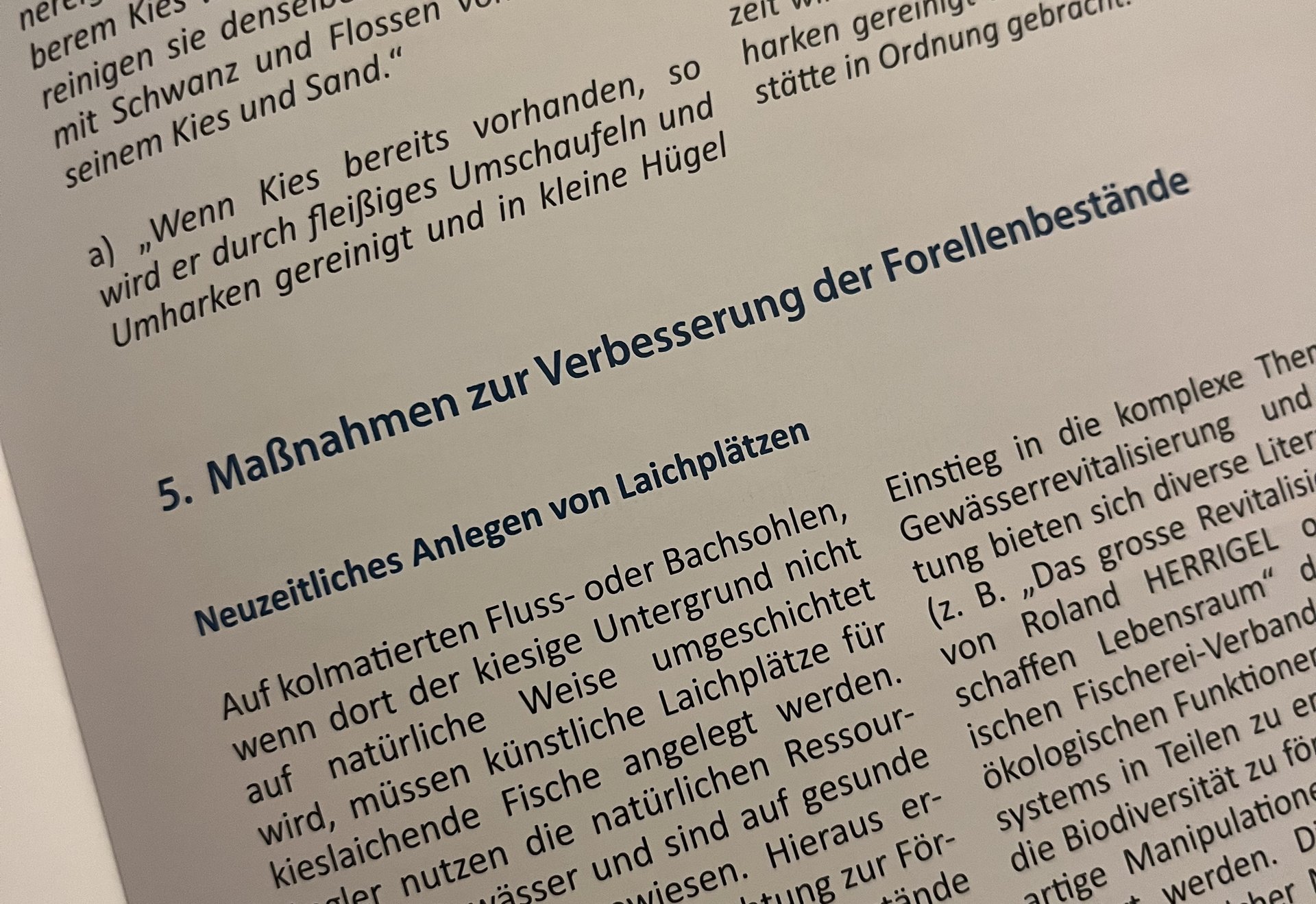 Innenseite eines Dokuments mit Hinweisen zum Anlegen von Laichplätzen und Maßnahmen zur Förderung von Forellenbeständen.