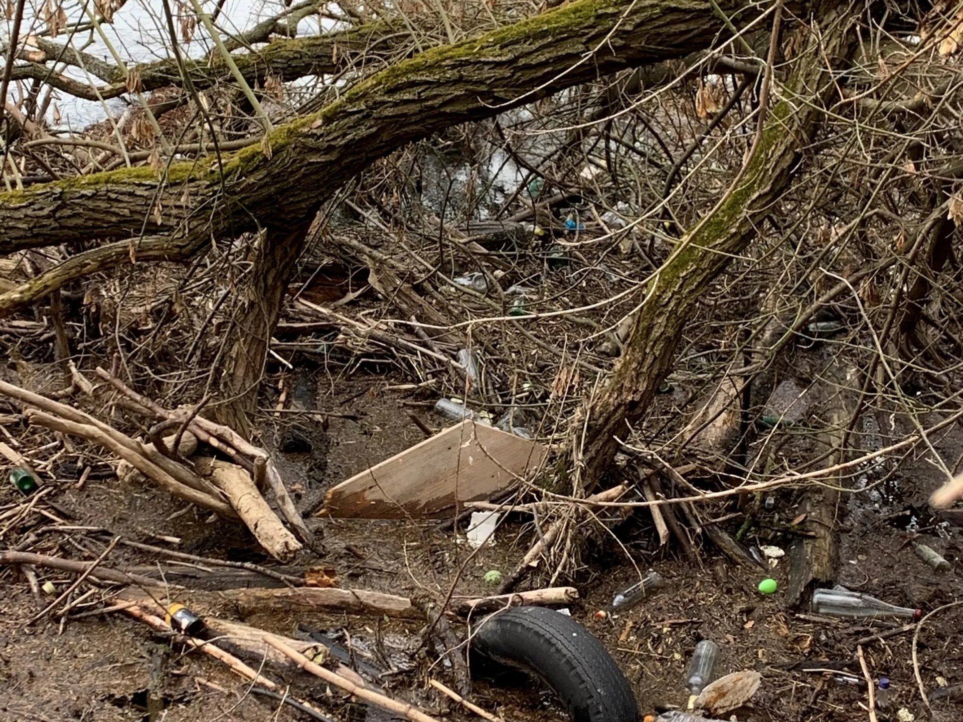 Am Ufer liegen zwischen Ästen und Bäumen verschiedene Abfälle wie Plastikflaschen, ein Autoreifen und anderer Müll.