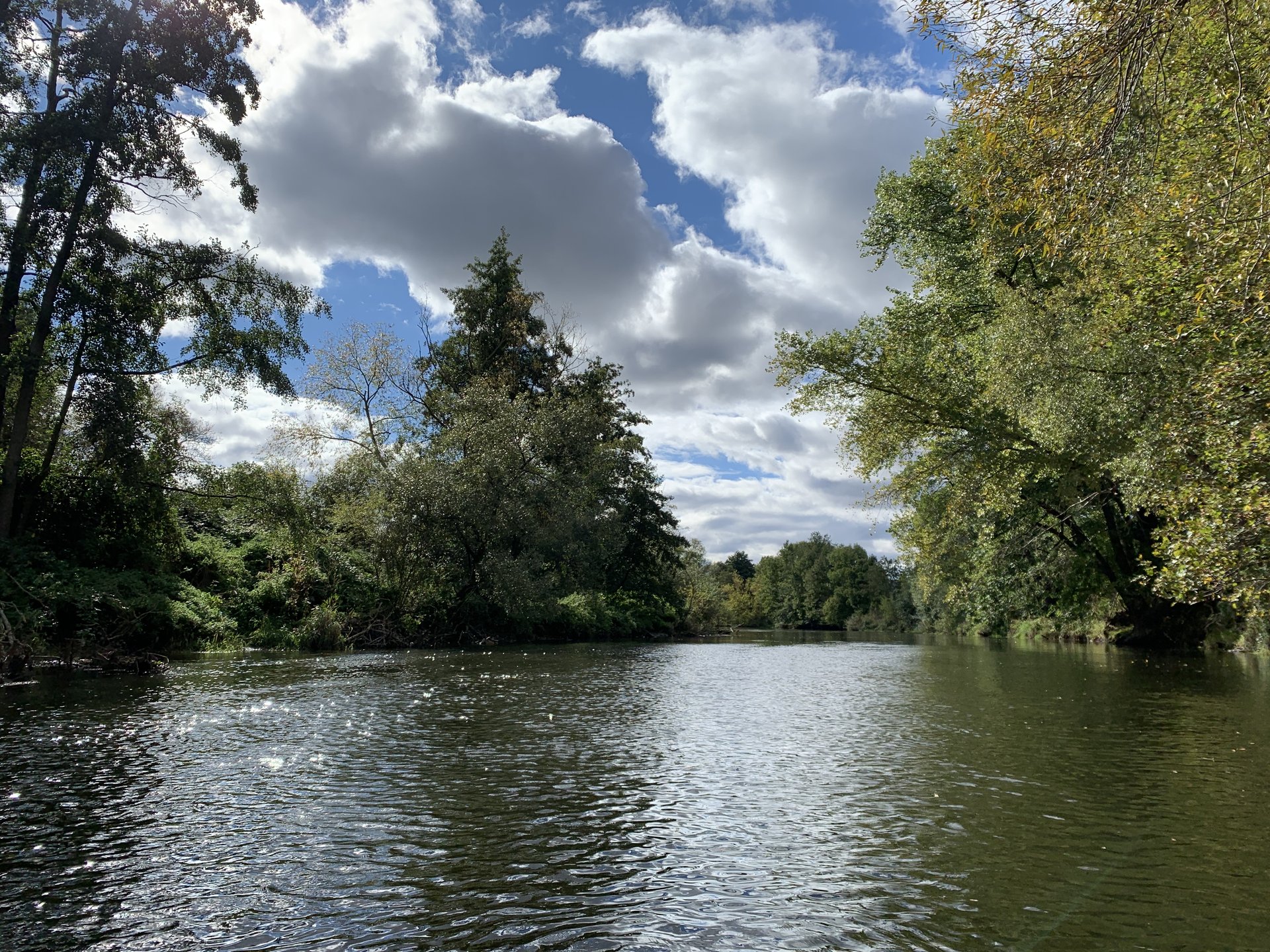 Ein Fluss mit umgebenden Bäumen unter einem teilweise bewölkten Himmel.