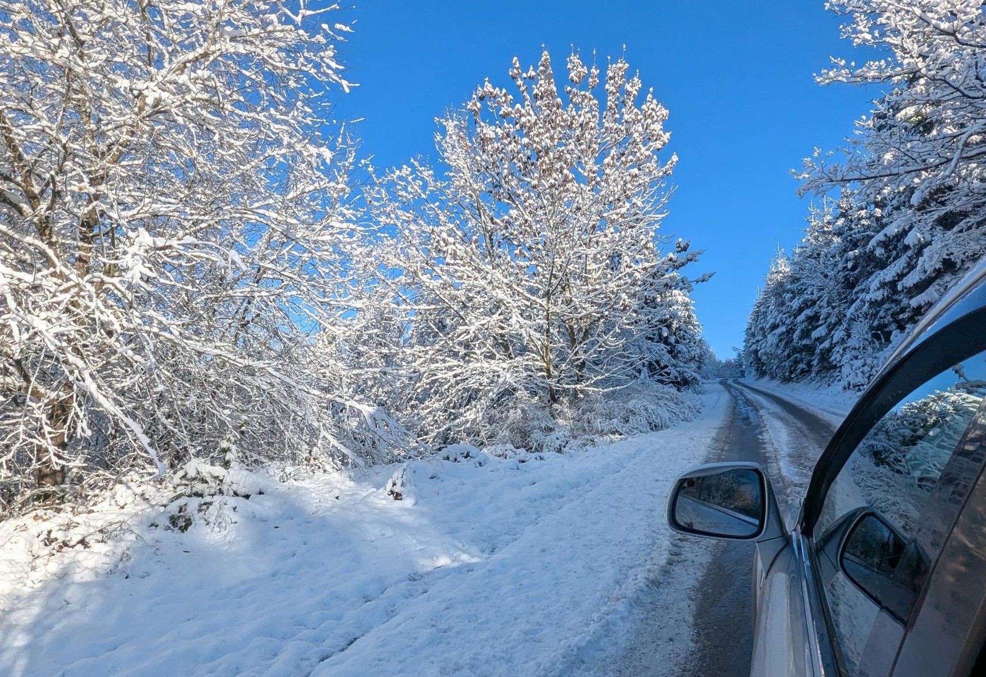 Verschneite Straße zwischen schneebedeckten Bäumen, fotografiert aus einem Fahrzeug heraus. Der Himmel ist klar und blau.