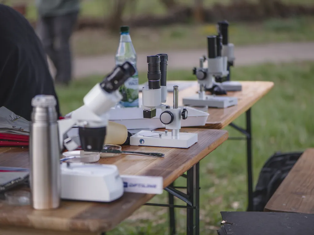 Drei Stereolupen stehen auf einem Holztisch im Freien, daneben befinden sich weitere Utensilien.