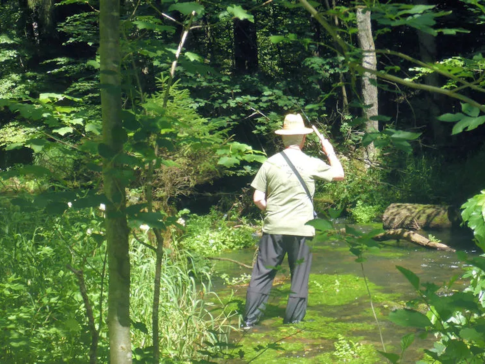 Eine Person mit Hut steht in einem grünen, bewaldeten Bachlauf und fischt mit einer Tenkara-Rute.
